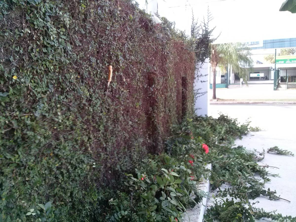 Rogerio - Viana do Castelo - Exterior Painting