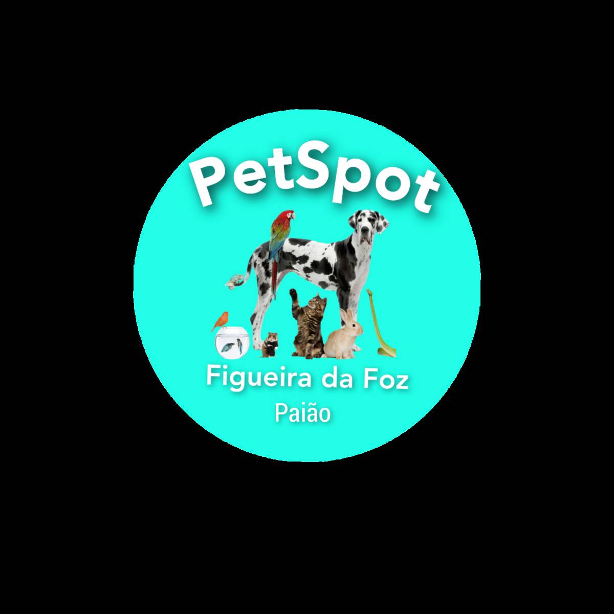 PetSpot Figueira da Foz - Figueira da Foz - Creche para Cães