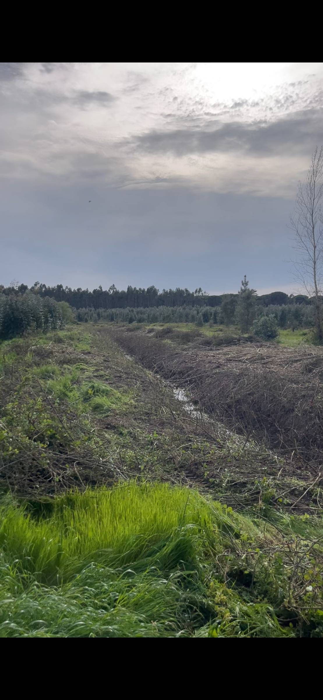Pêgo’s Escava - Óbidos - Aluguer de Equipamentos