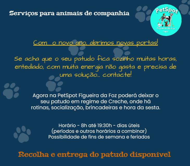 PetSpot Figueira da Foz - Figueira da Foz - Dog Walking