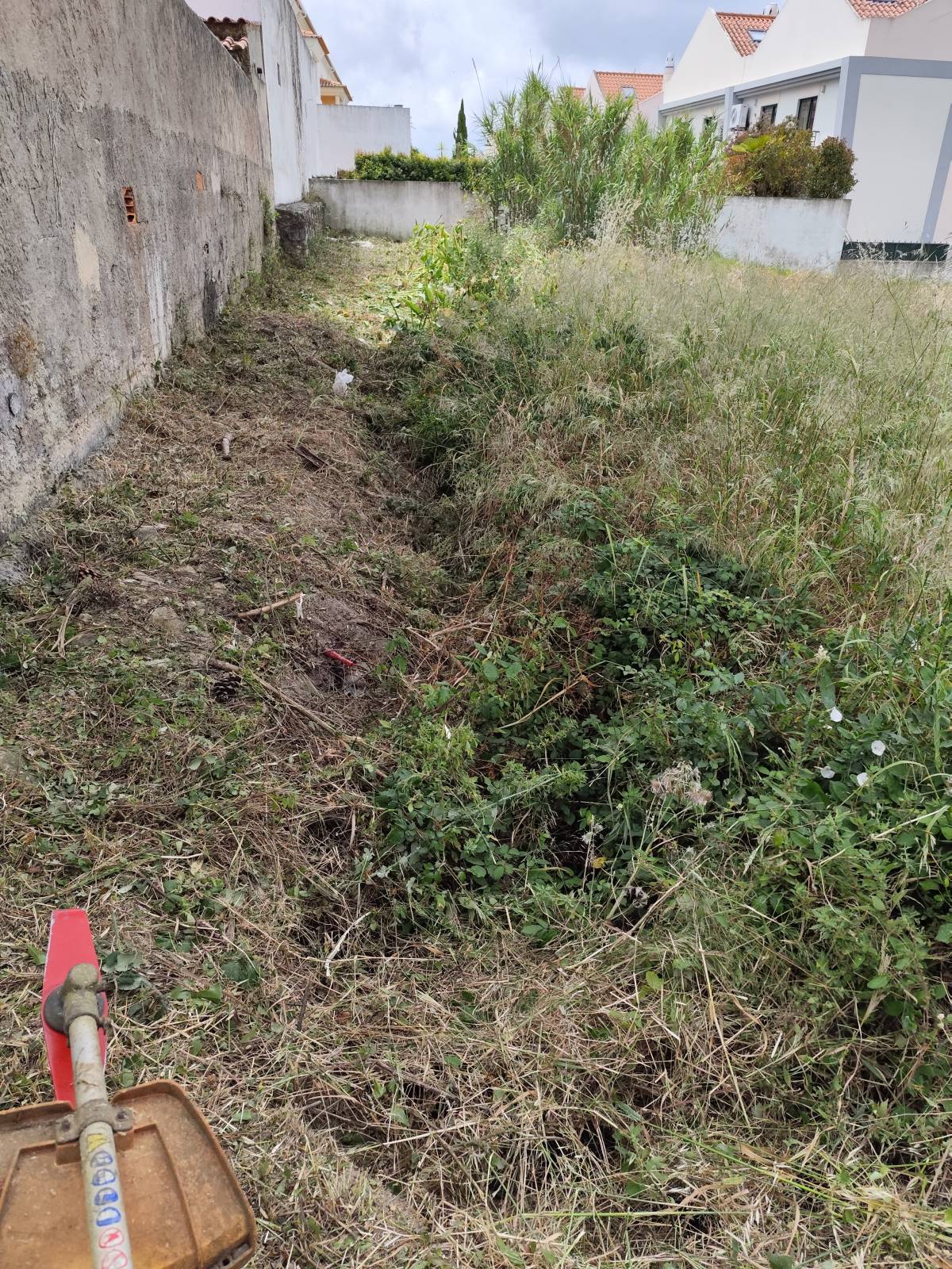 J&T LIMPEZA DE TERRNOS E MANUTENÇÃO DE JARDIM ARDINS - Cascais - Jardinería