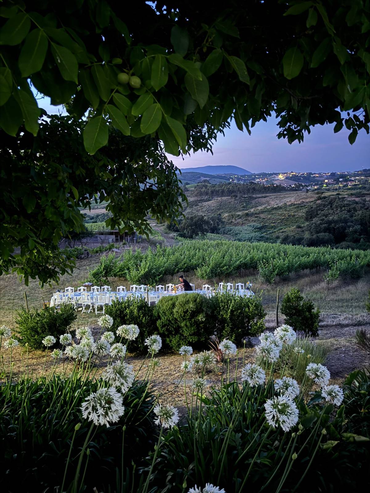 True Taste - The Meeting Kitchen - Torres Vedras - Catering - Eventos y fiestas