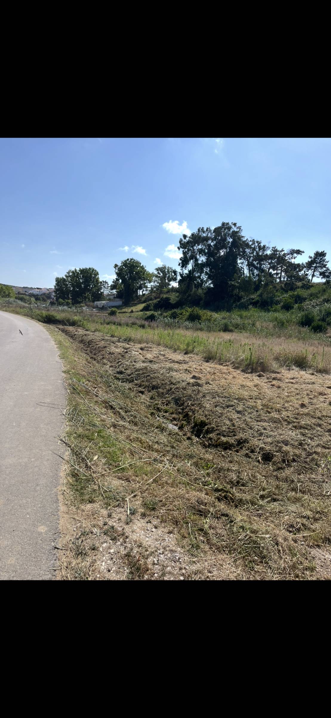 Pêgo’s Escava - Óbidos - Aluguer de Equipamentos