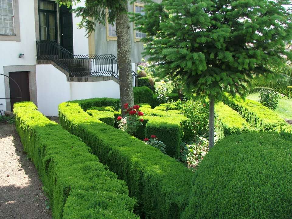 André Santos - Vila Real - Wedding Catering Service