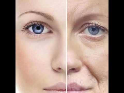 Gemy Egipcia - Maia - Acupuncture Services