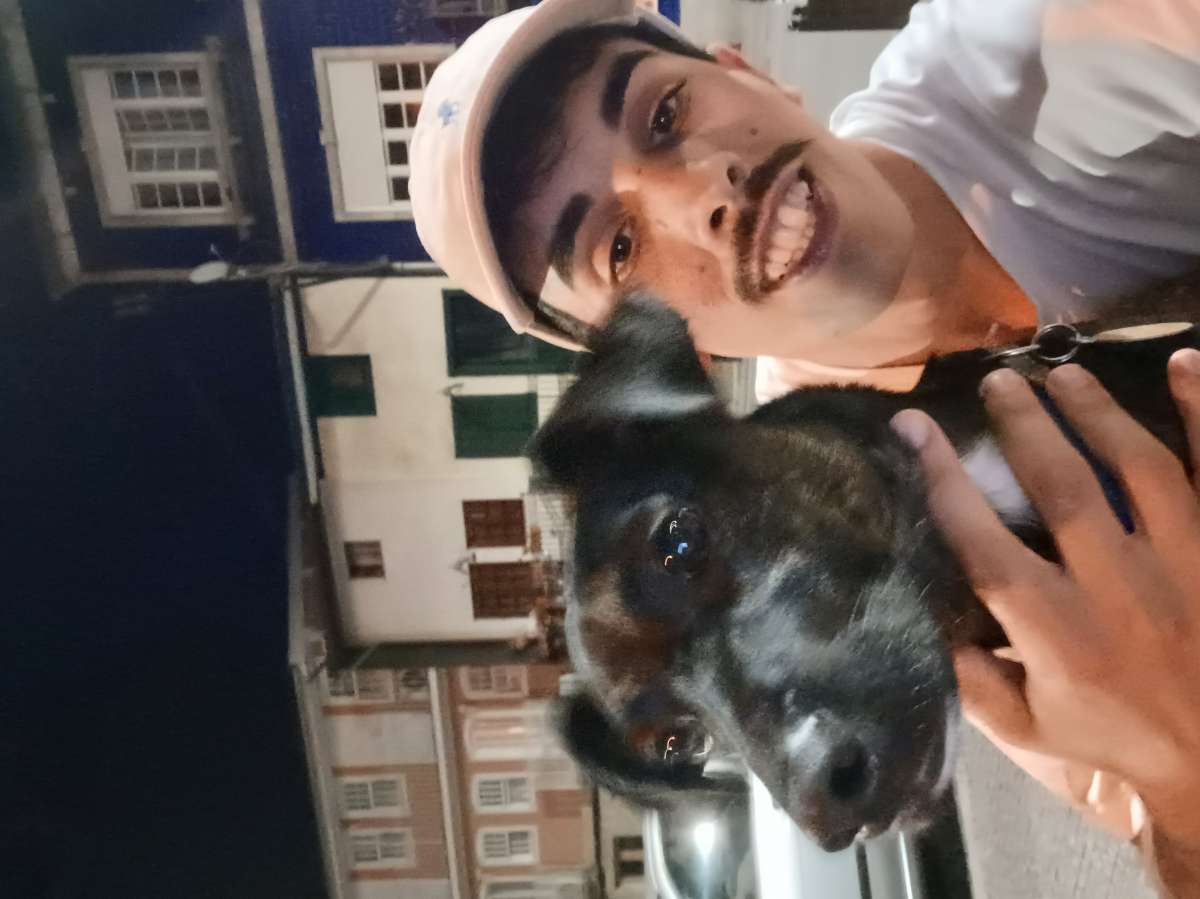 Diogo Rafael - Guimarães - Hundeausführung