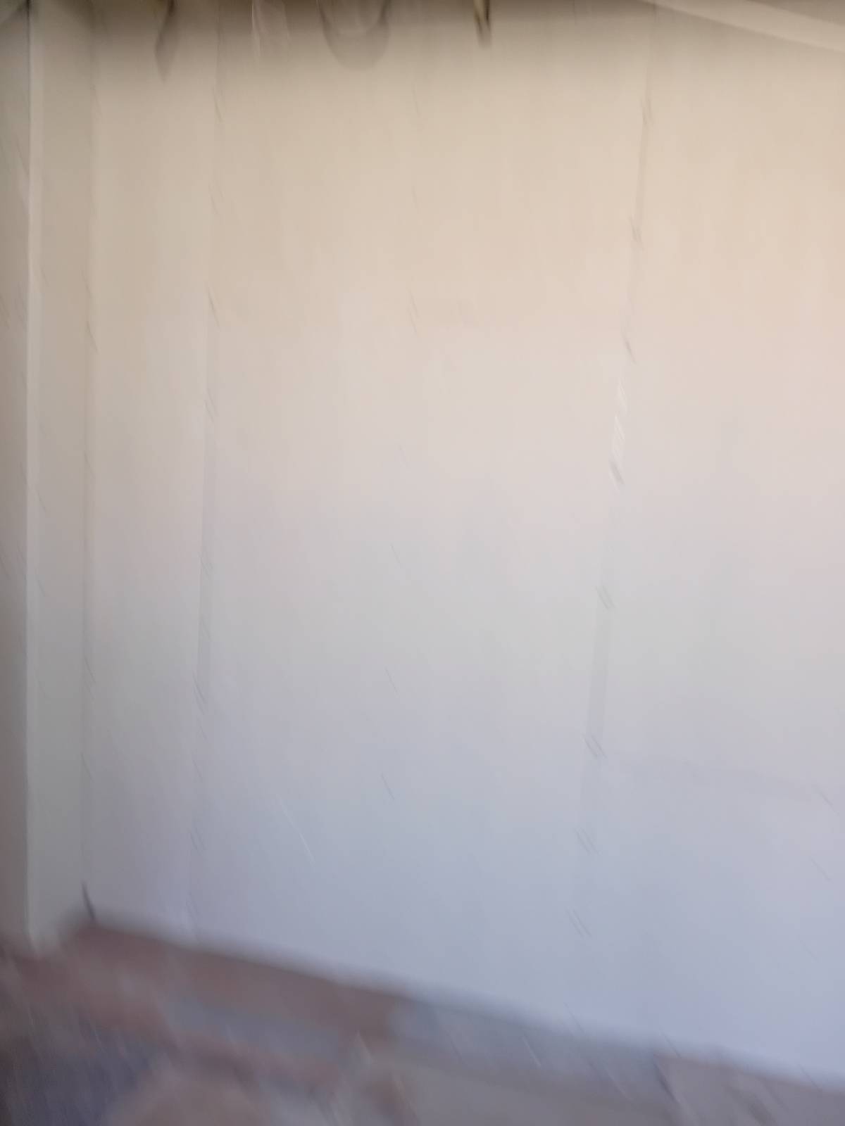TLopes Pintura -  - Limpieza de tejados