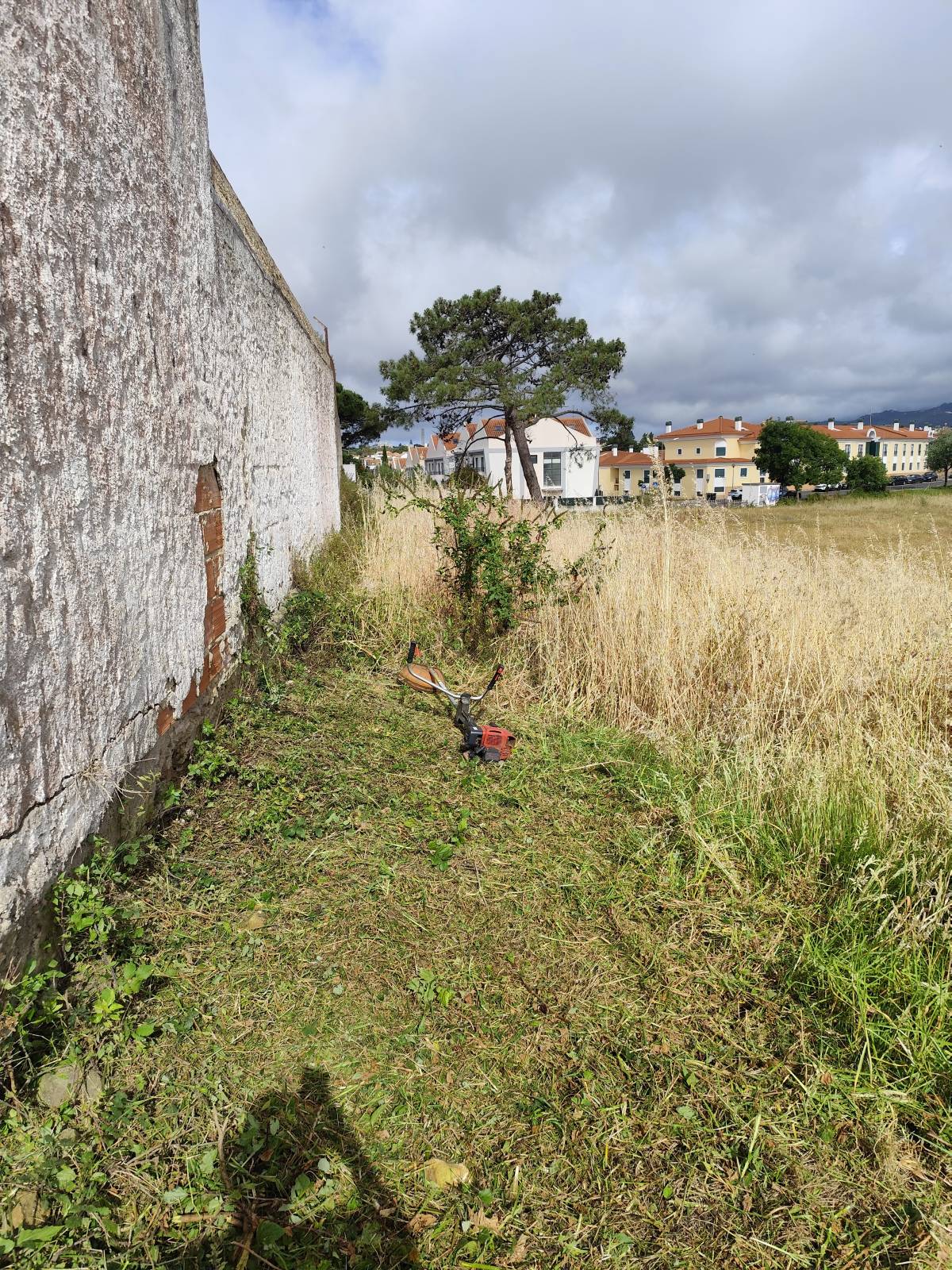 J&T LIMPEZA DE TERRNOS E MANUTENÇÃO DE JARDIM ARDINS - Cascais - Trituración y eliminación de tocones