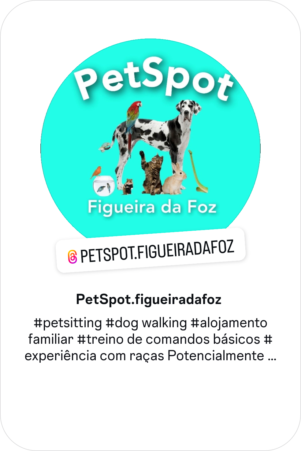 PetSpot Figueira da Foz - Figueira da Foz - Gestão de Alojamento Local