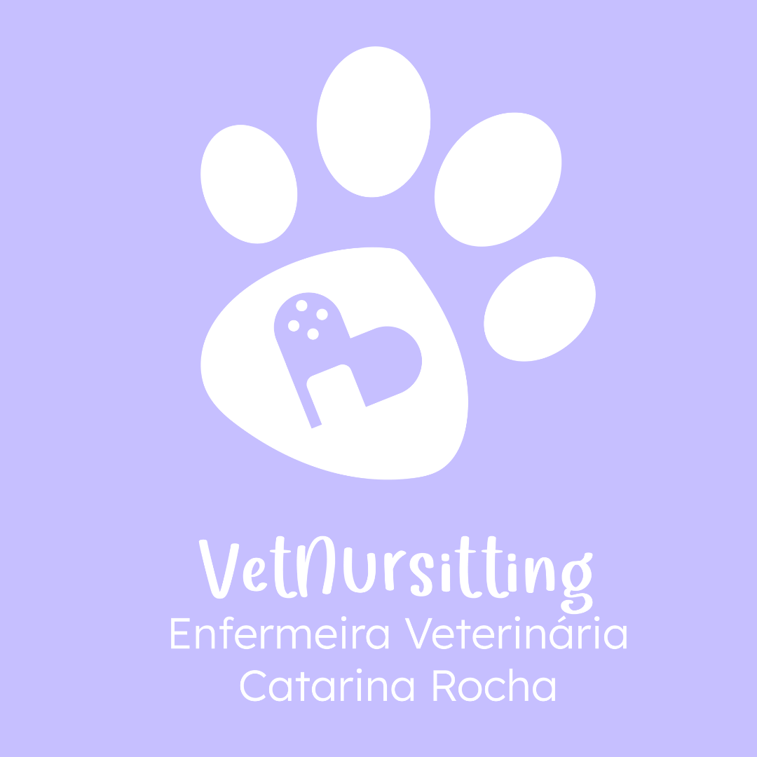Vetnursitting - Enfermeira Veterinária Catarina Rocha - Vila Nova de Gaia - Dog Walking