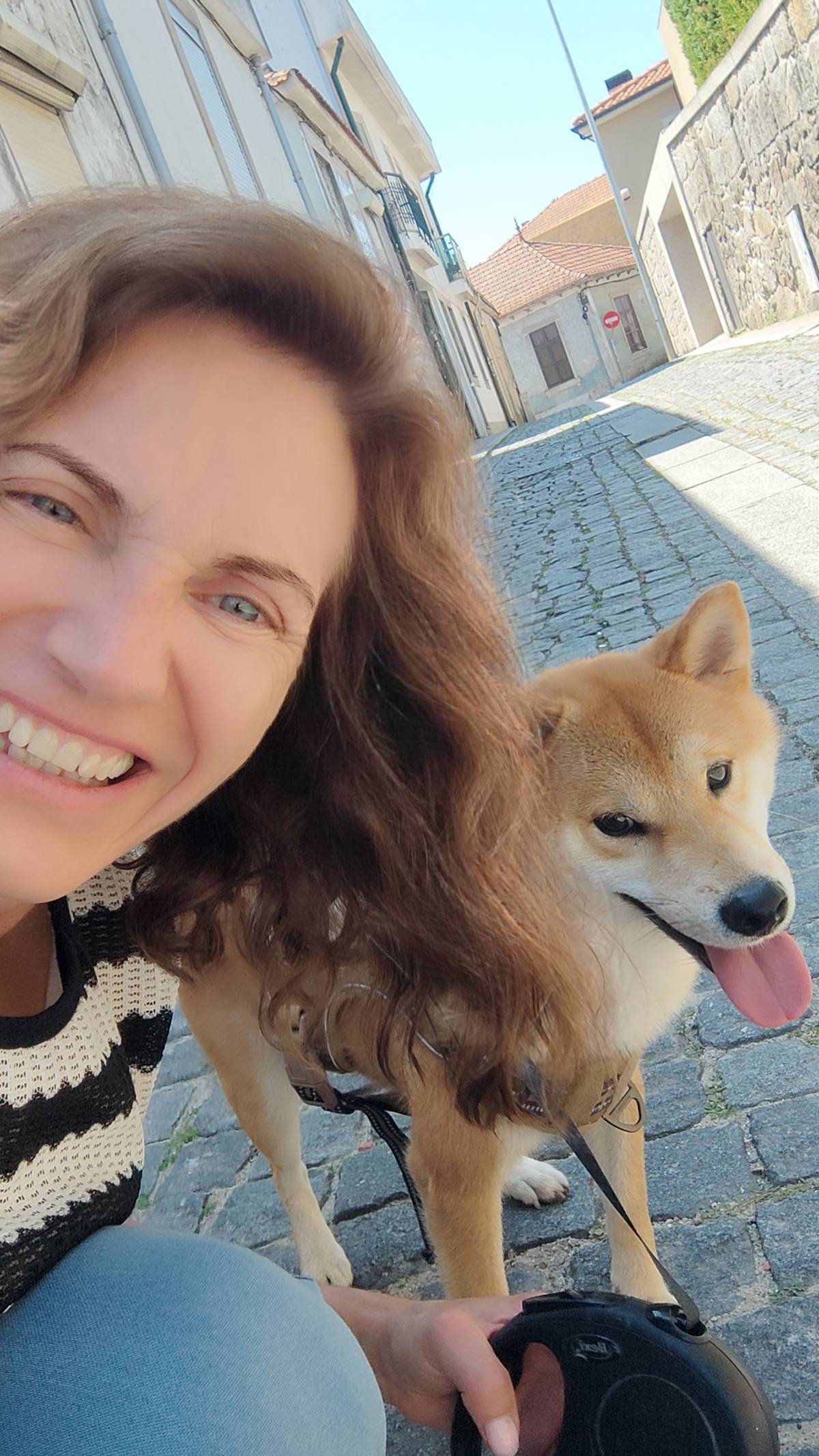 Silvana Corrêa - Matosinhos - Hundeausführung