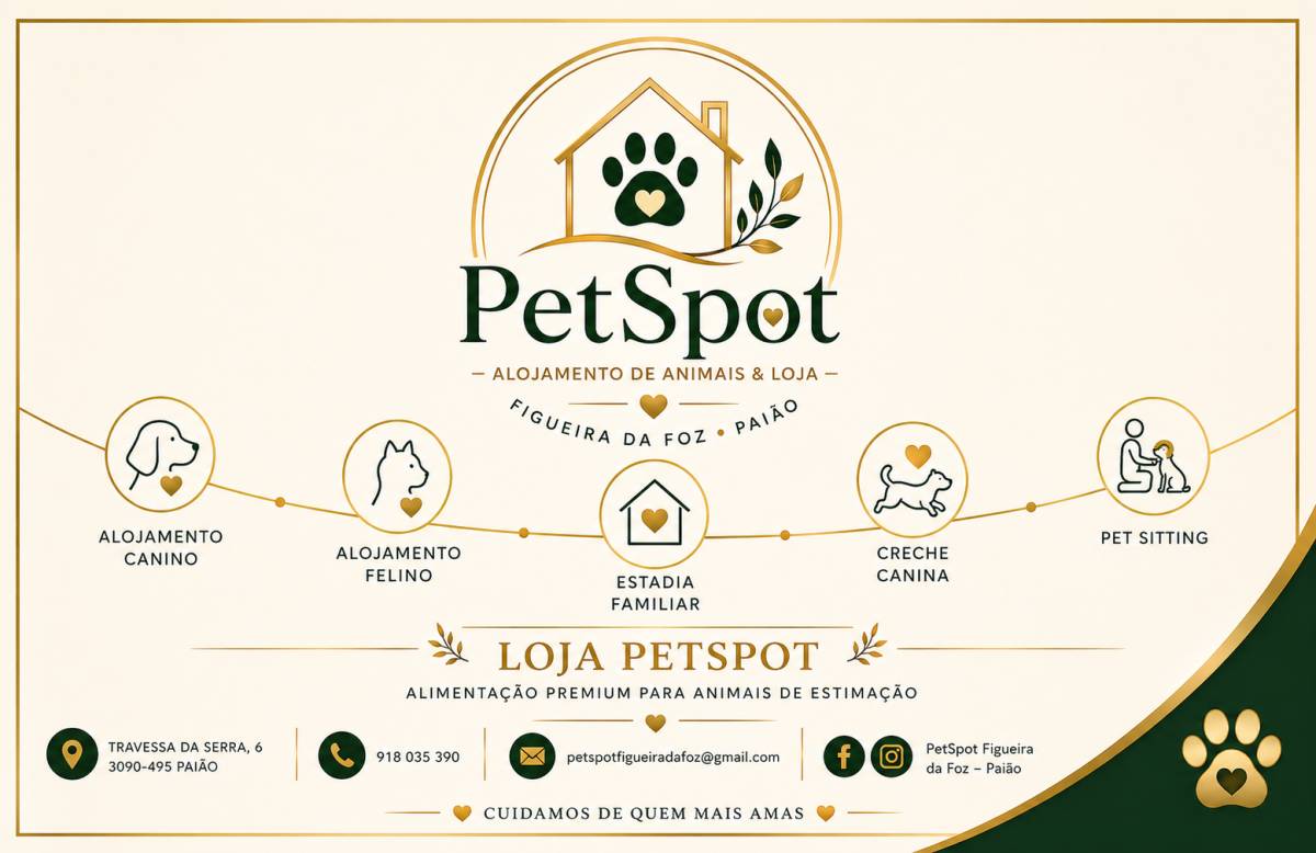 PetSpot Figueira da Foz - Figueira da Foz - Hundeausführung