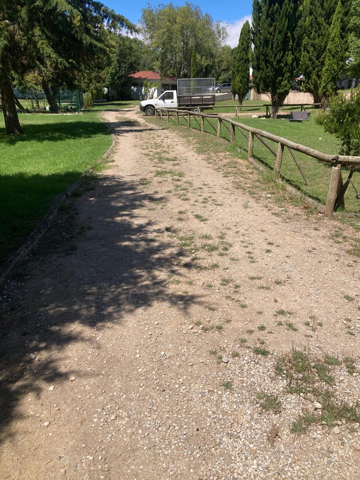 MULTILUK - Amadora - Shrub Removal
