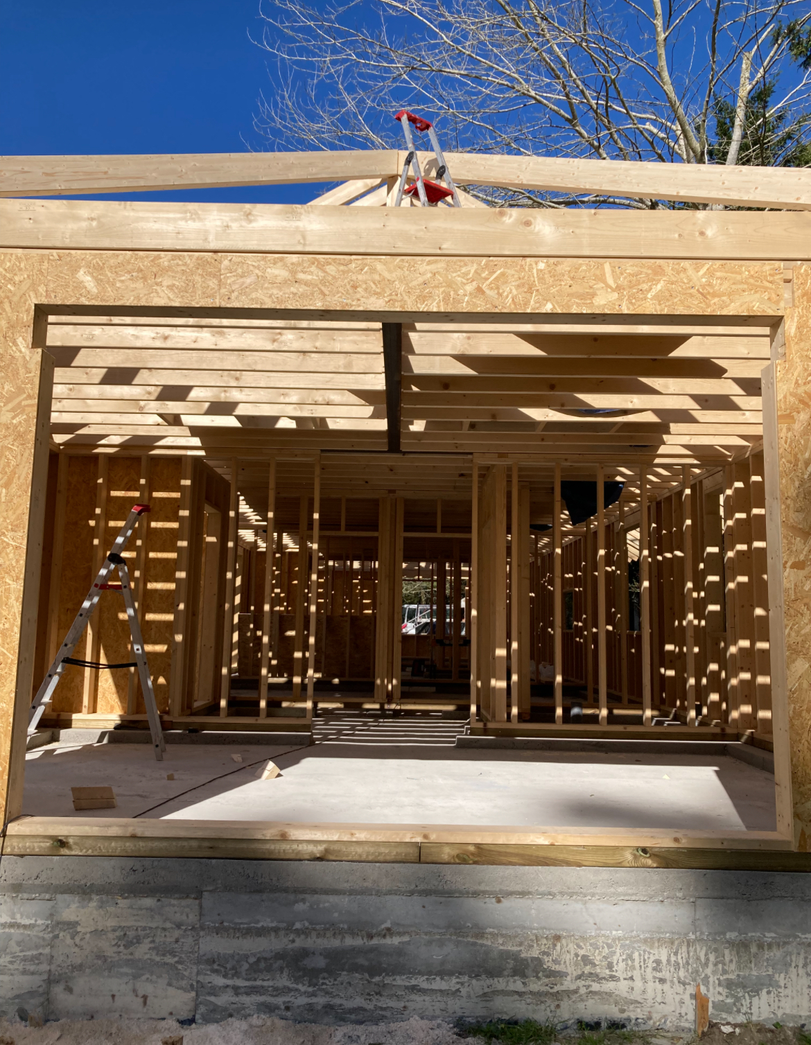 MULTILUK - Amadora - Remoção de Tronco de Árvore