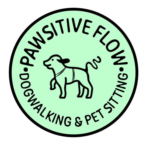 Pawsitive Flow - Vila Nova de Gaia - Dog Walking