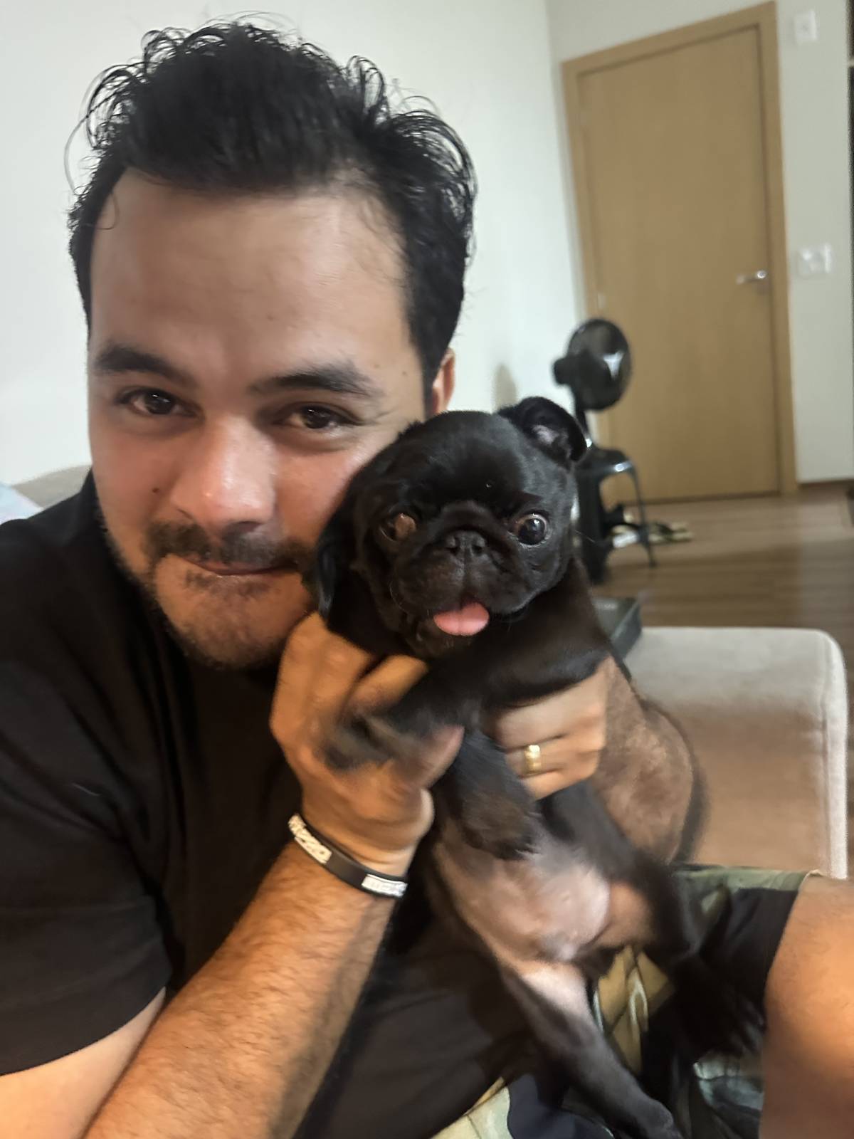 Débora terengue - Viseu - Dog Sitting