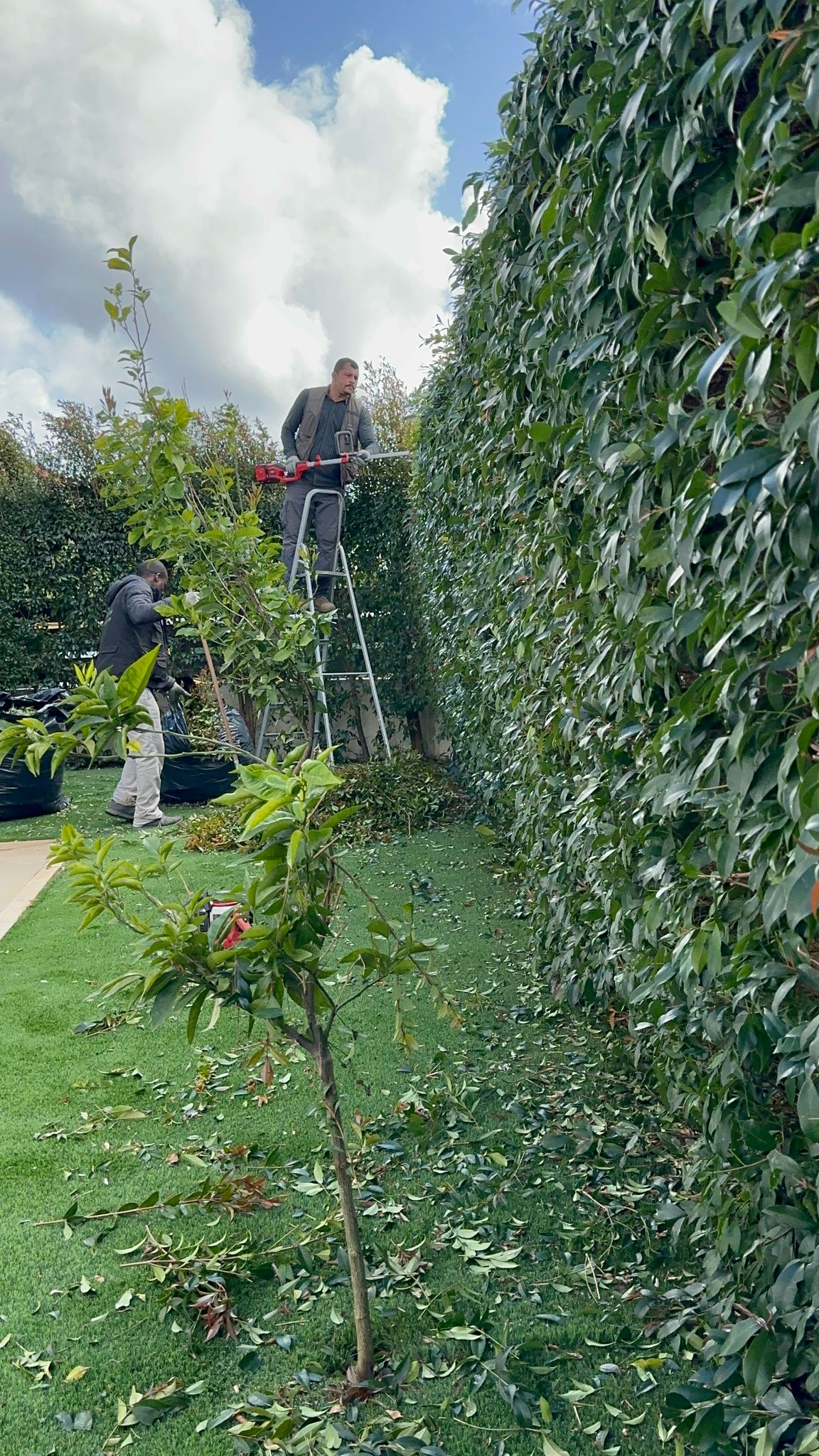 Gardener