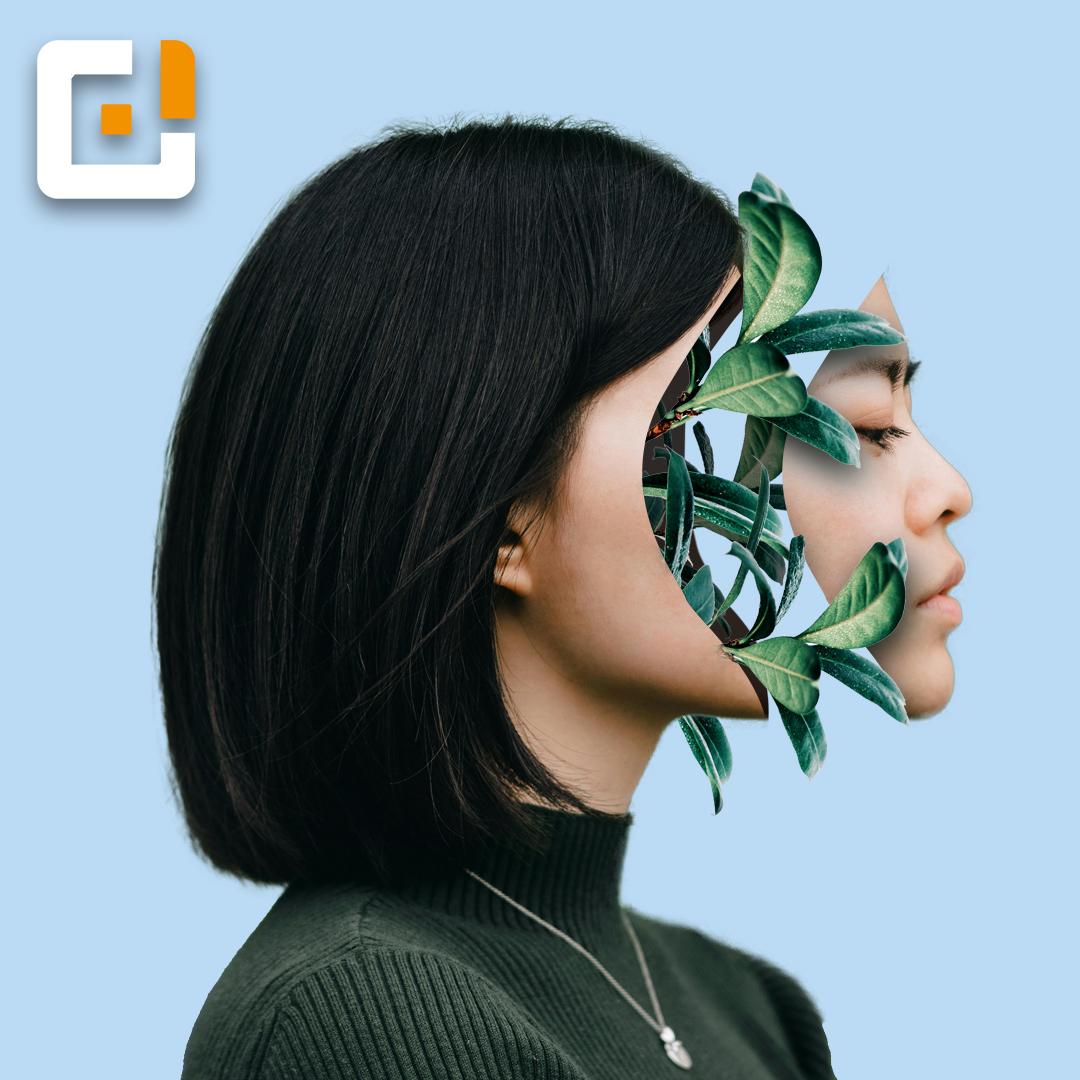 Creativer Design - Vila Franca de Xira - Animation