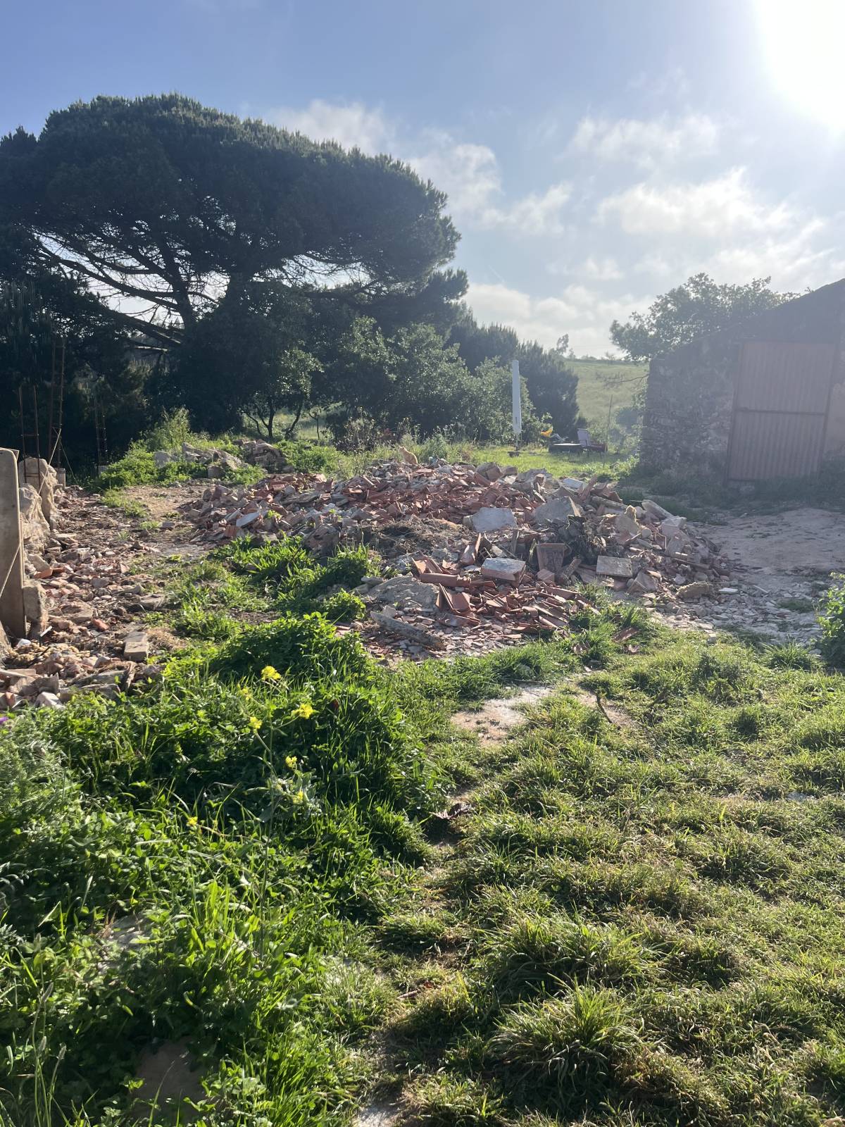 Pêgo’s Escava - Óbidos - Serviço de Bobcat