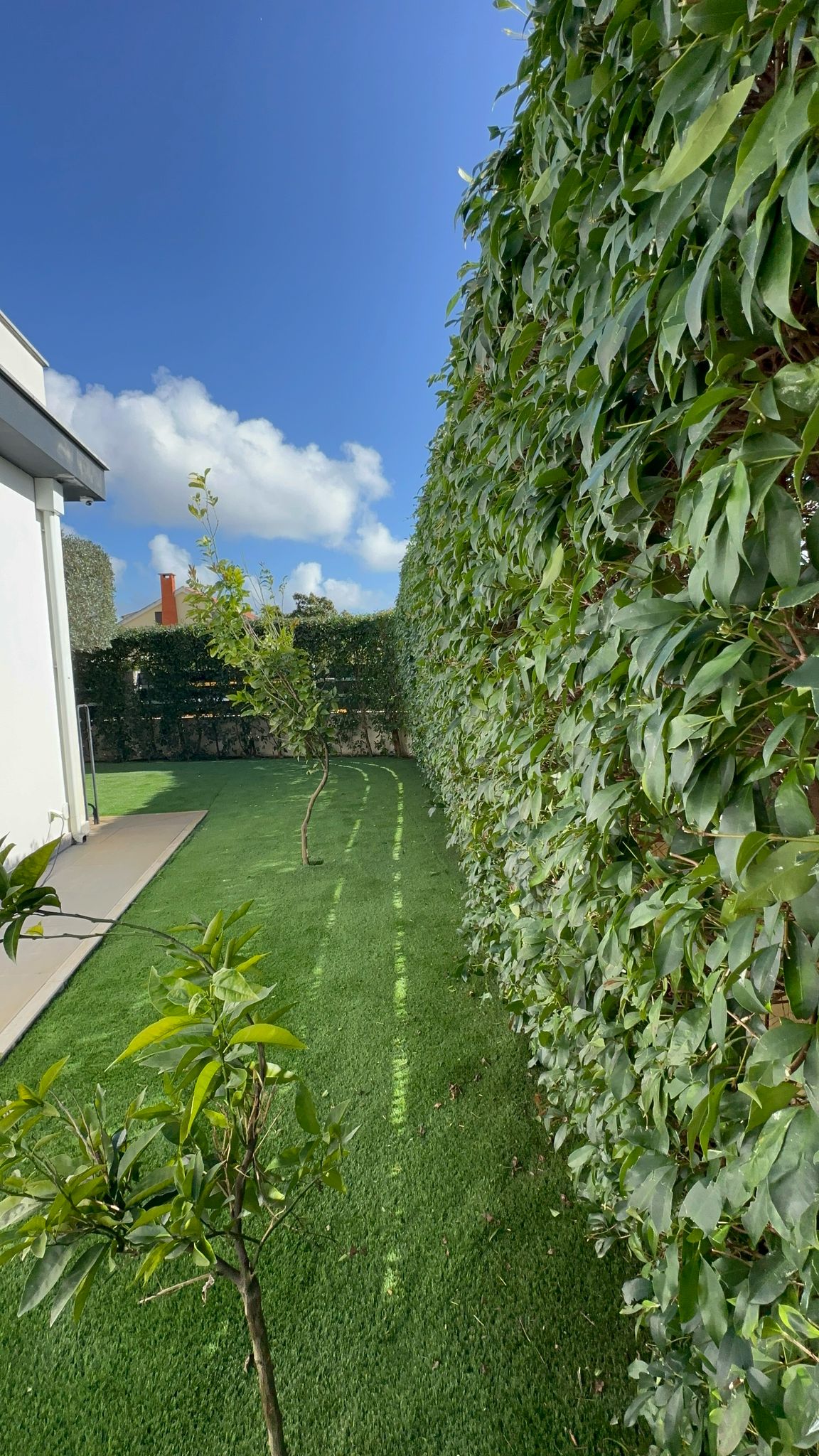 Lawncare