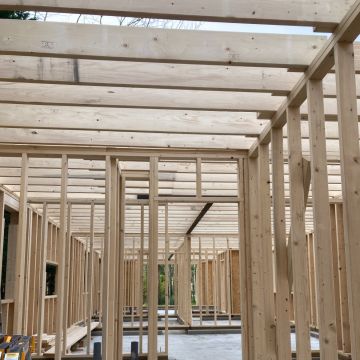 MULTILUK - Amadora - Remoção de Arbustos