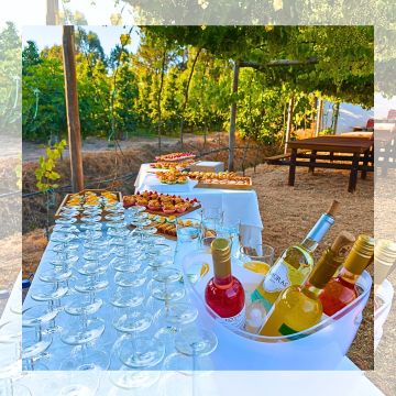 True Taste - The Meeting Kitchen - Torres Vedras - Servicios de catering
