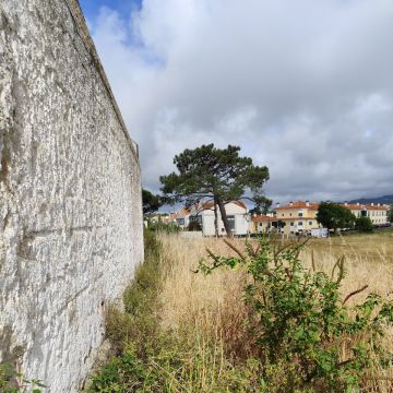 J&T LIMPEZA DE TERRNOS E MANUTENÇÃO DE JARDIM ARDINS - Cascais - Eliminación de arbustos