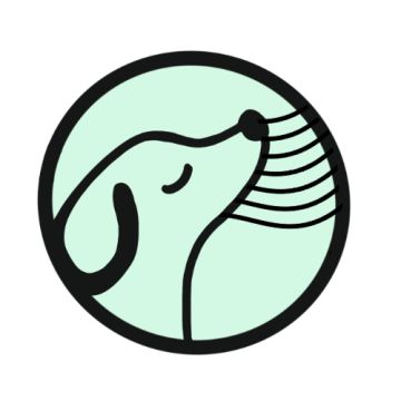 Entre Patas - Vila Nova de Gaia - Dog Sitting
