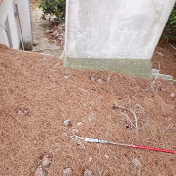 Gabriel Miranda - Salvaterra de Magos - Lawn Mower Repair