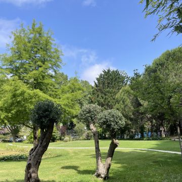 MULTILUK - Amadora - Manutenção e Reparação de Terraço