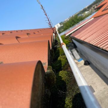 Flash Esgotos Desentupimentos - Porto - Limpieza de Sofás