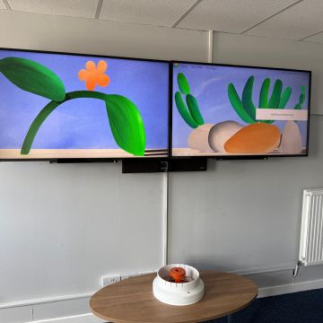 Teixeira Logistics - Prestação de Serviços - Sintra - Pintura de Portas