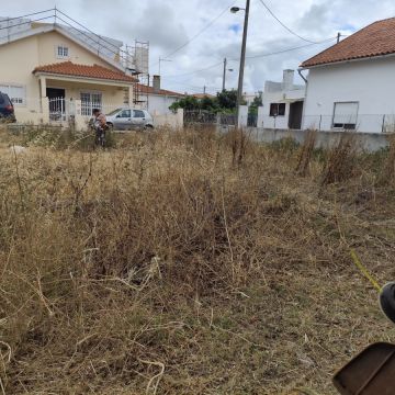 J&T LIMPEZA DE TERRNOS E MANUTENÇÃO DE JARDIM ARDINS - Cascais - Deshierbo