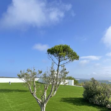 MULTILUK - Amadora - Estufas