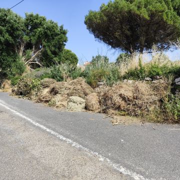 J&T LIMPEZA DE TERRNOS E MANUTENÇÃO DE JARDIM ARDINS - Cascais - Jardinería