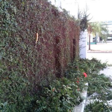Rogerio - Viana do Castelo - Exterior Painting