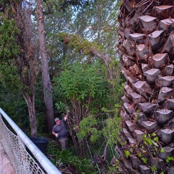J&T LIMPEZA DE TERRNOS E MANUTENÇÃO DE JARDIM ARDINS - Cascais - Eliminación de arbustos