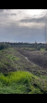 Pêgo’s Escava - Óbidos - Aluguer de Equipamentos