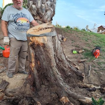 J&T LIMPEZA DE TERRNOS E MANUTENÇÃO DE JARDIM ARDINS - Cascais - Limpieza de terrenos