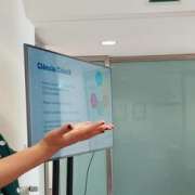 Filipa Saraiva - Gouveia - Statistical Analysis