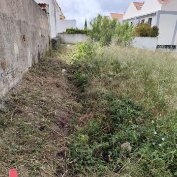 J&T LIMPEZA DE TERRNOS E MANUTENÇÃO DE JARDIM ARDINS - Cascais - Jardinería