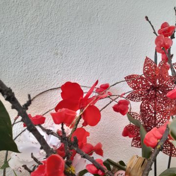 Carvalho Cleaning - Portimão - Limpieza de primavera