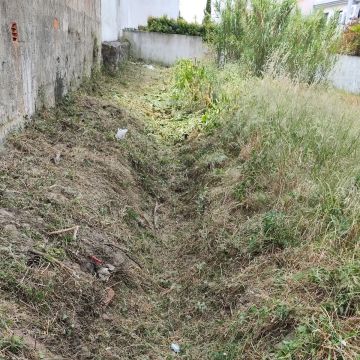 J&T LIMPEZA DE TERRNOS E MANUTENÇÃO DE JARDIM ARDINS - Cascais - Poda y mantenimiento de árboles