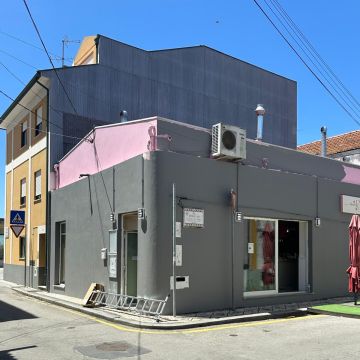 Santos - Leiria - Installation de clôture pour chiens