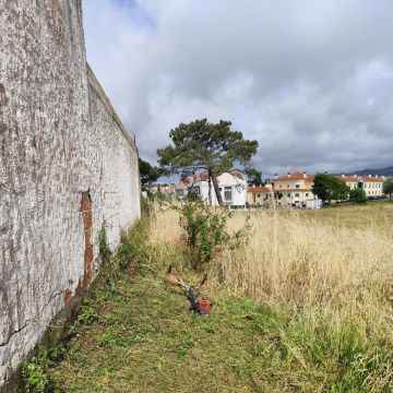 J&T LIMPEZA DE TERRNOS E MANUTENÇÃO DE JARDIM ARDINS - Cascais - Trituración y eliminación de tocones