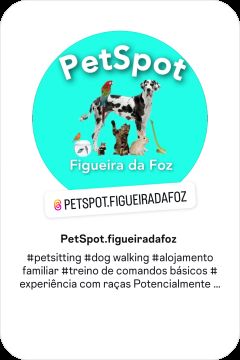 PetSpot Figueira da Foz - Figueira da Foz - Gestão de Alojamento Local