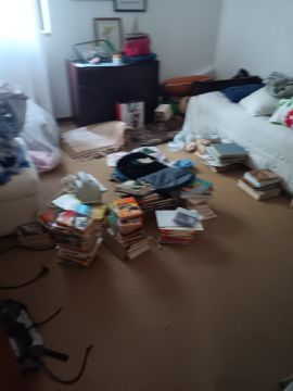 Construtor de Telhados