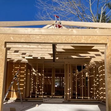 MULTILUK - Amadora - Remoção de Tronco de Árvore