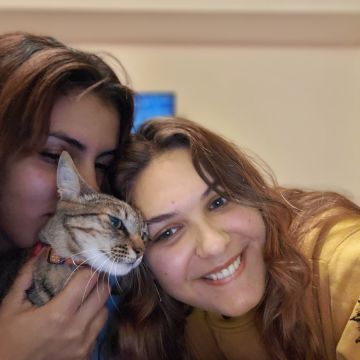 Aline Duarte - Lisboa - Cat Sitting