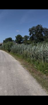 Pêgo’s Escava - Óbidos - Serviço de Bobcat